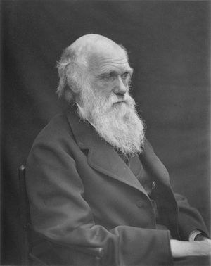 Inglise looduseuurija Charles Darwin.