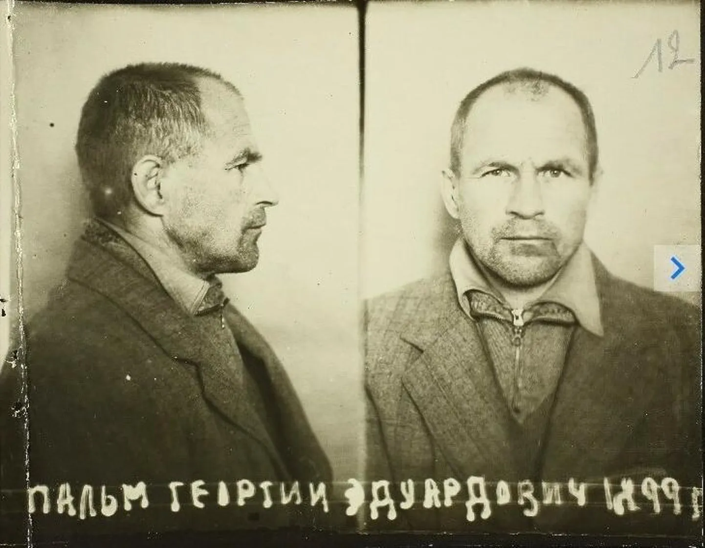 Georgi Palmi pilt uurimistoimikust.