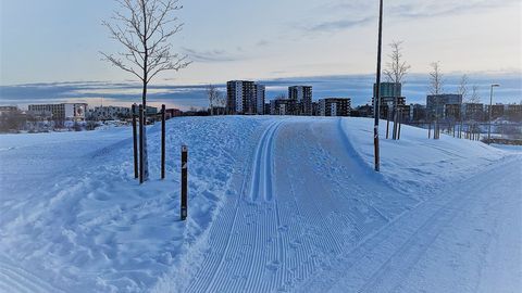 В парке Паэ сегодня открылась лыжня