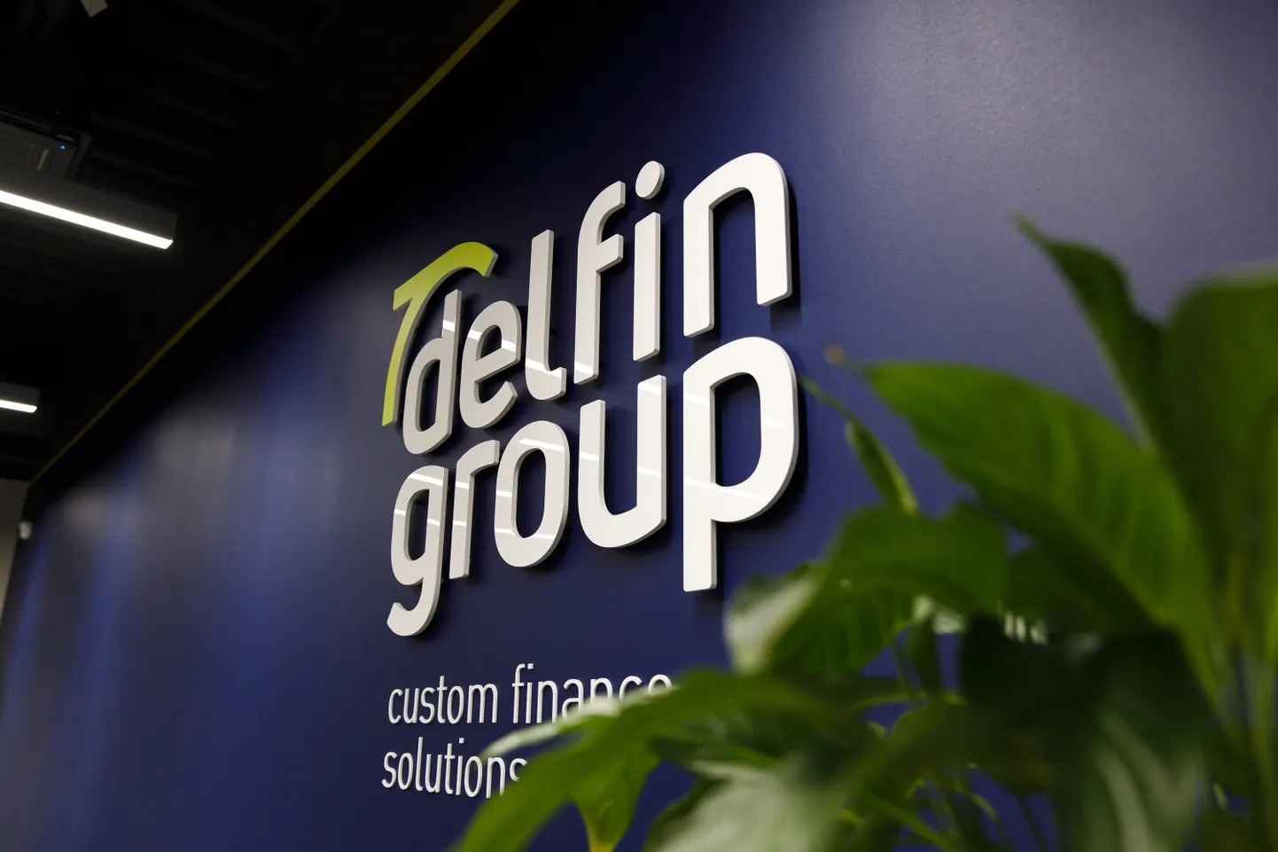 DelfinGroupi logo.