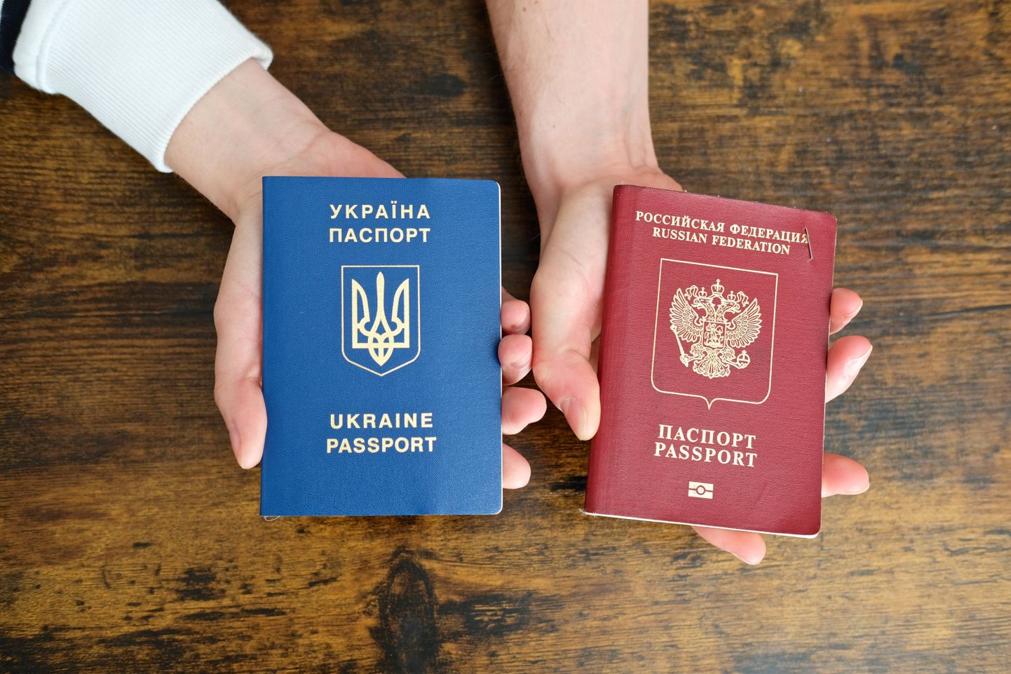 Паспорта Украины и РФ.