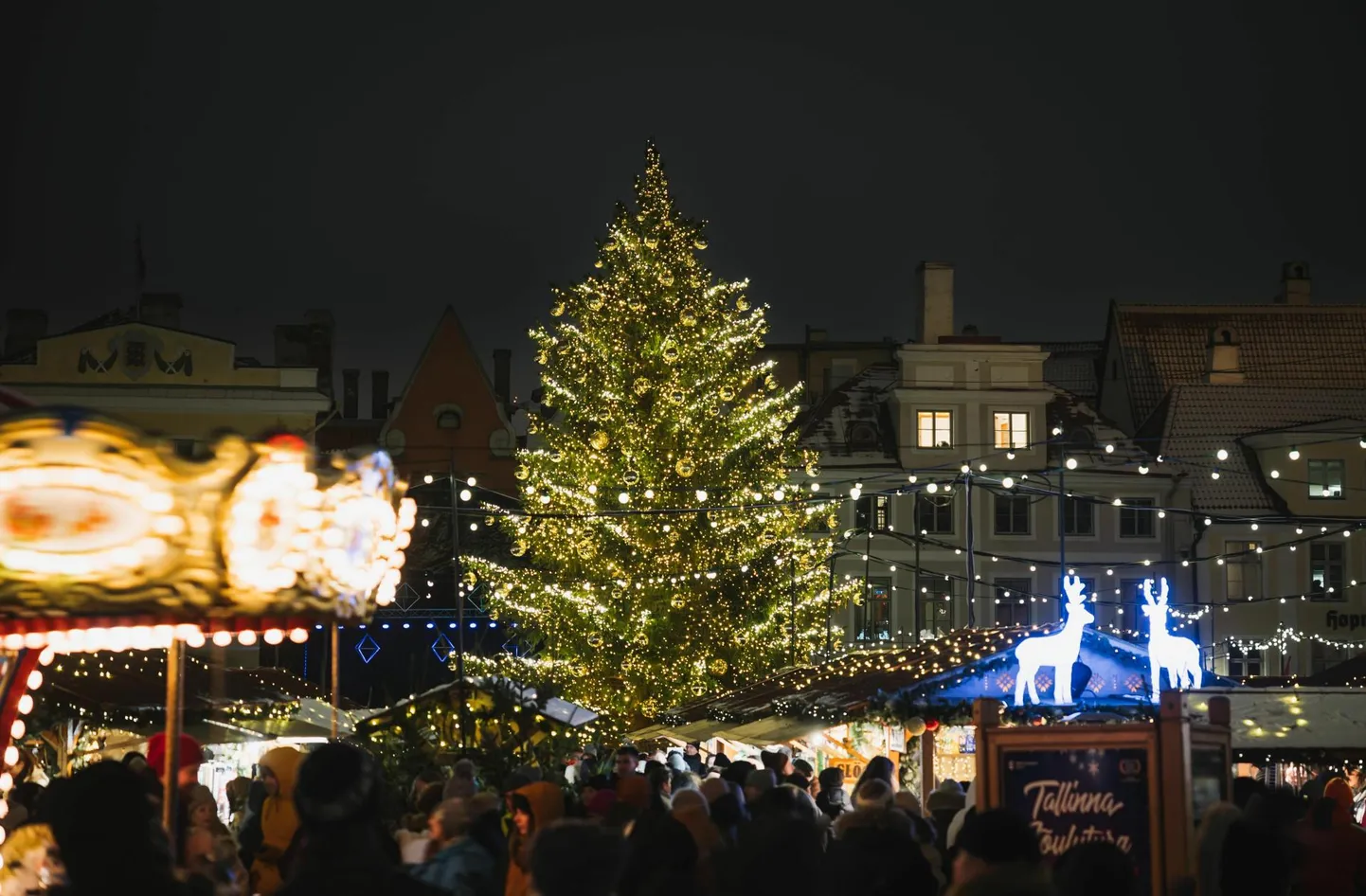 Tallinna jõulupuu.