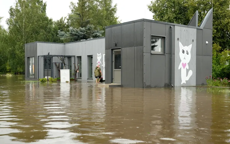 The animal shelter supervised by the Clinical Institute of the Faculty of Veterinary Medicine of the Latvian University of Biosciences and Technology in Jelgava has been flooded.