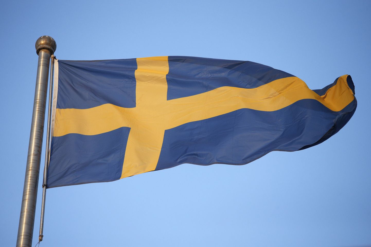Rootsi lipp.