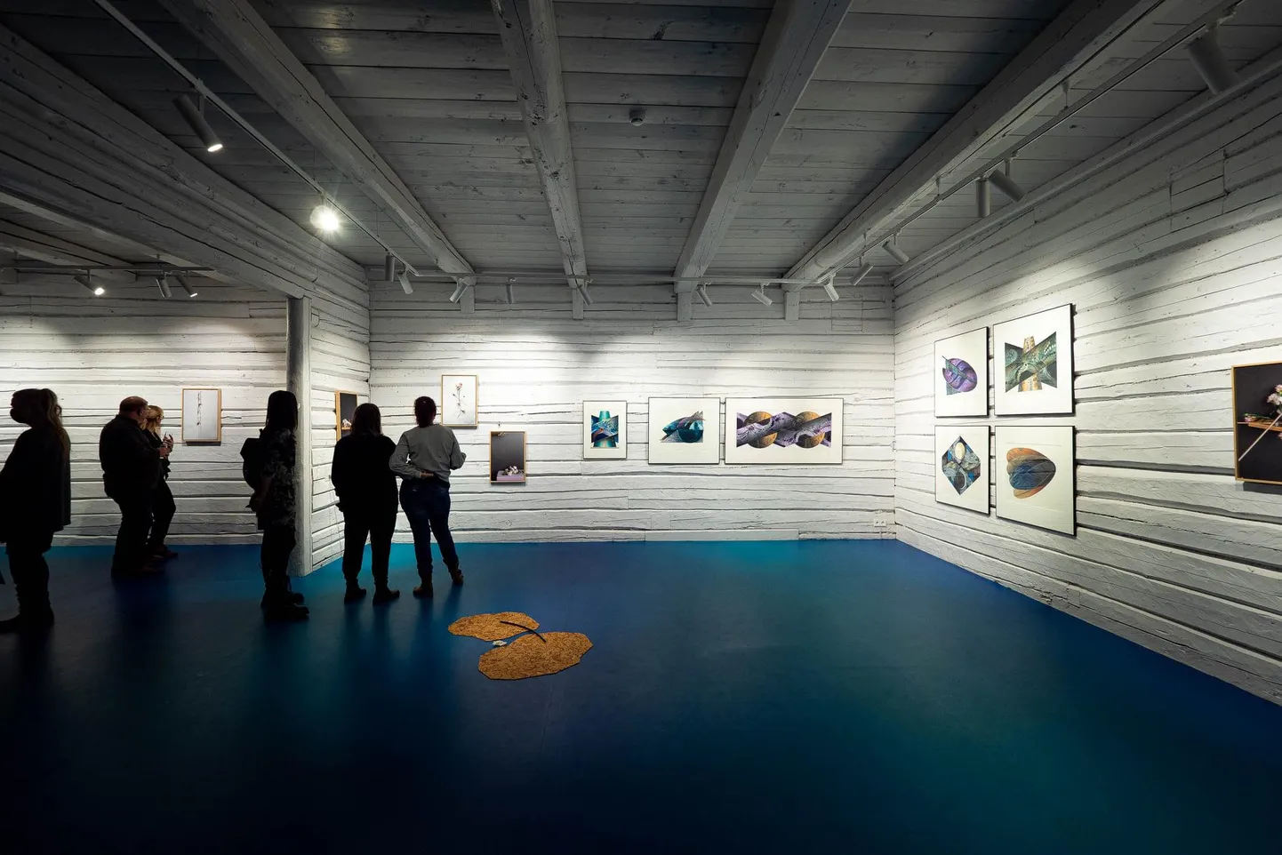 Näitus "Kimbutab" on Rüki galeriis vaadata 12. veebruarini.