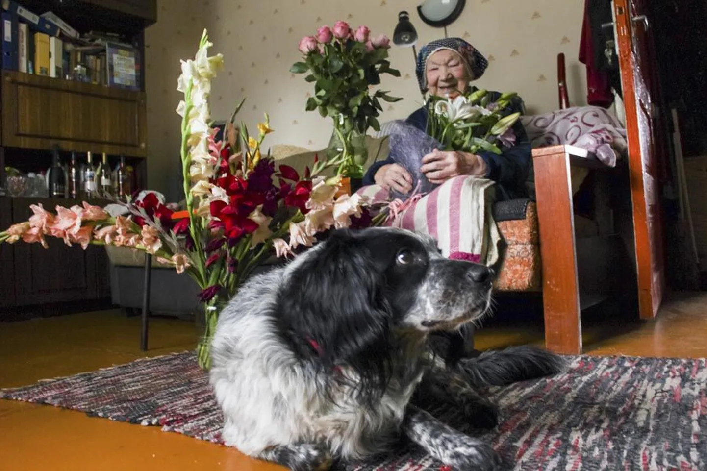 Selma Raljal jagus saja aasta juubeli puhul saadud lilli Mustlas Aia tänaval asuvas kodus peaaegu igasse tuppa.