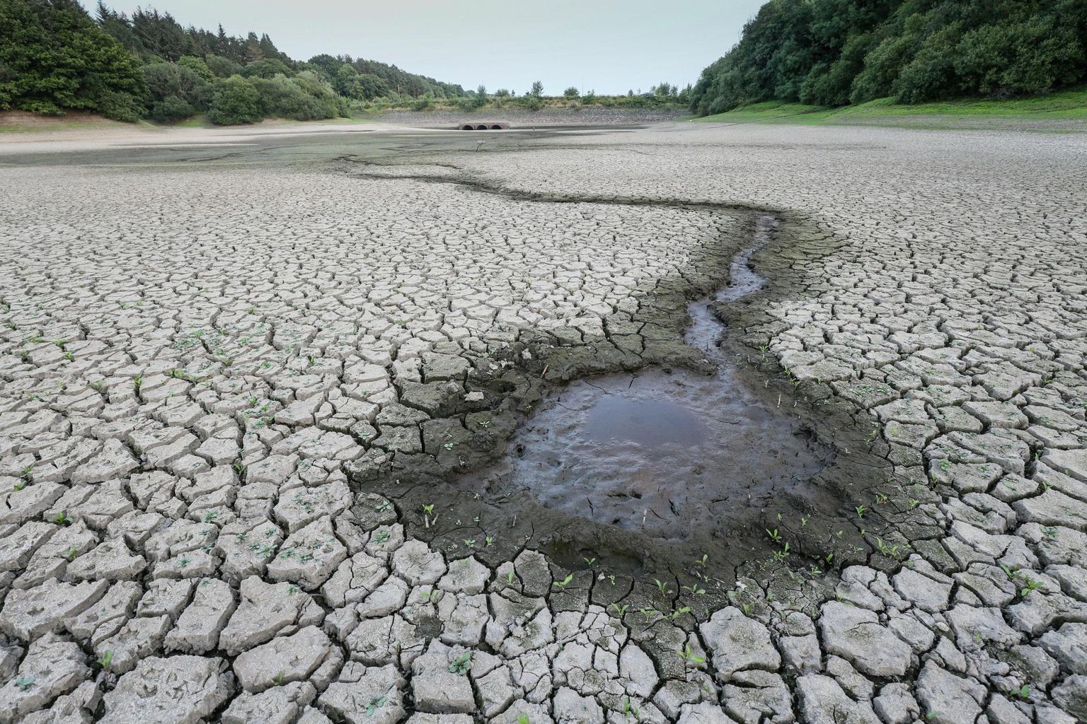 Paljudes maades oli 2022. aasta mõõtmisajaloo kuumim, nii ka Inglismaal. Kuivanud Wayoh’ veehoidla.
