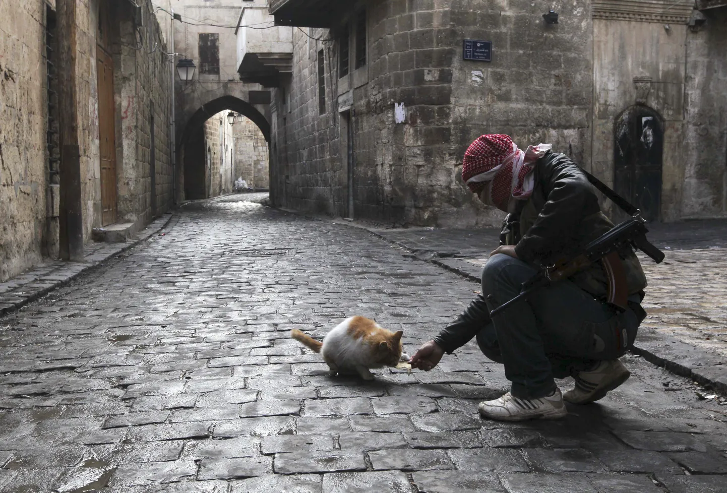 Artikli foto