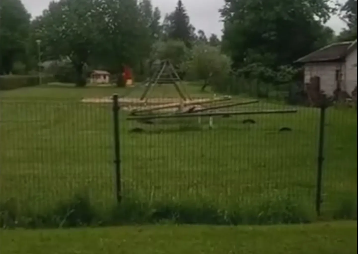 Ворона качелях.