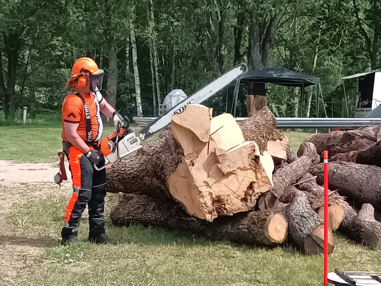 Suurte saagidega mehed on Ihamaru külamaja juures juba tööhoos.