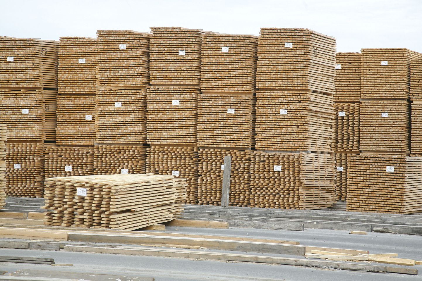 Suurim oli hinnatõus puidutöötlemises ja puittoodete tootmises.