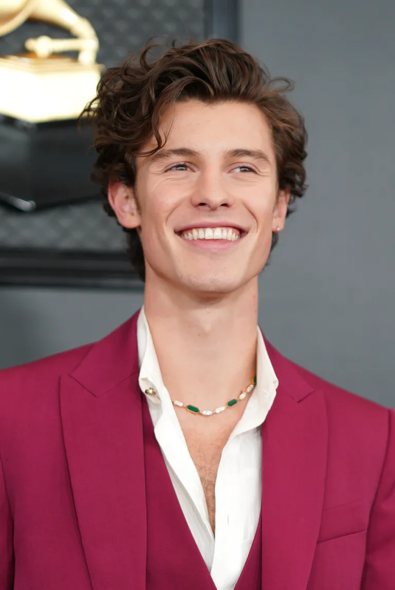 Shawn Mendes.