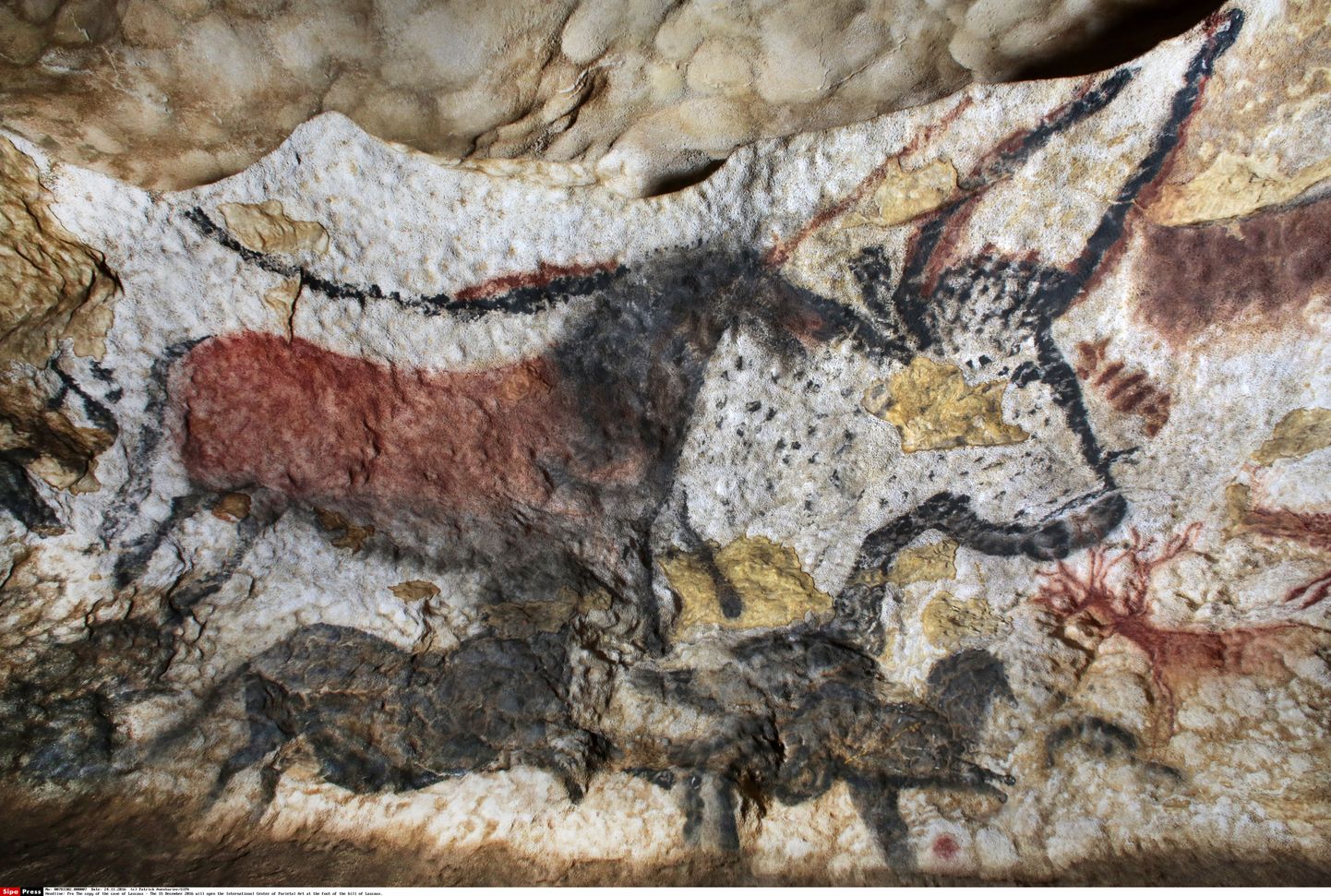 Prantsusmaa Lascaux koobaste üks maalingutest