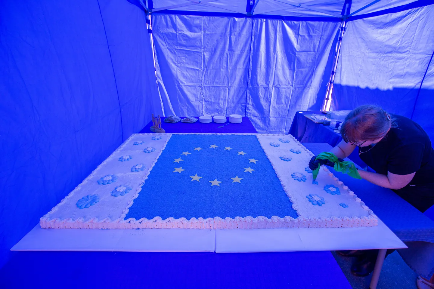 Euroopa Päeva tähistamine. Pilt on illustratiivne.