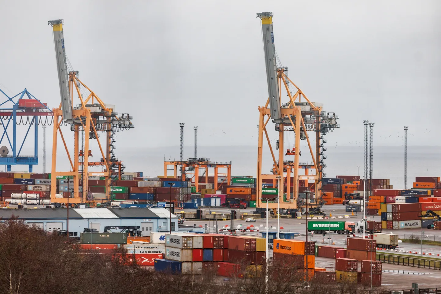 13.11.2024, Maardu
Muuga sadama konteineriterminal HHLA TK AS.
Foto Mihkel Maripuu, Postimees