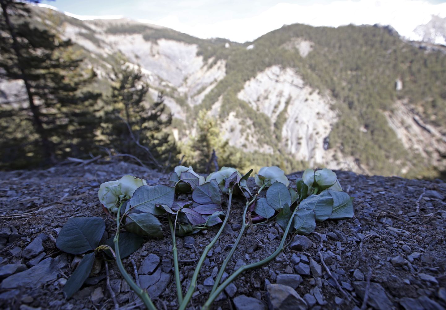 Lilled mägedes, kuhu Germanwingsi lennuk kukkus.
