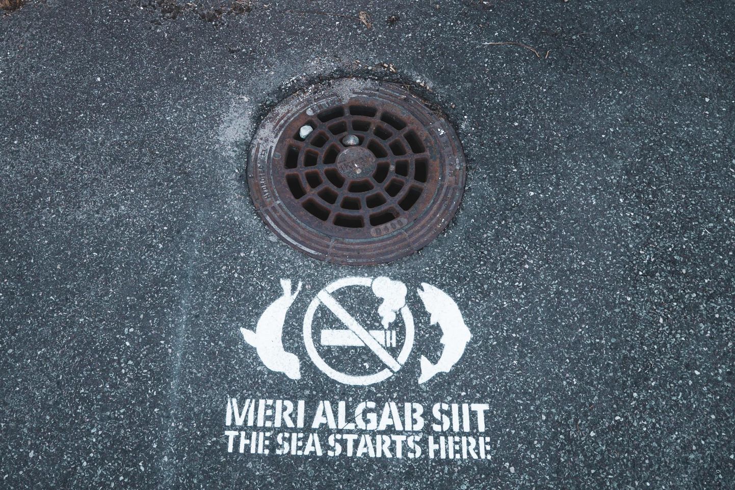 Kampaania "Meri algab siit" raames märgistati Pärnus 100 kanalisatsioonikaevu luuki. 