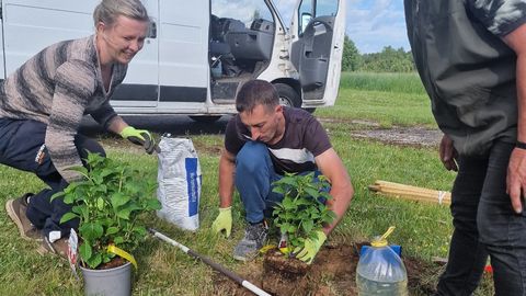 Sompalased istutasid Kohtla-Järve juubeli puhul üle neljakümne uue puu
