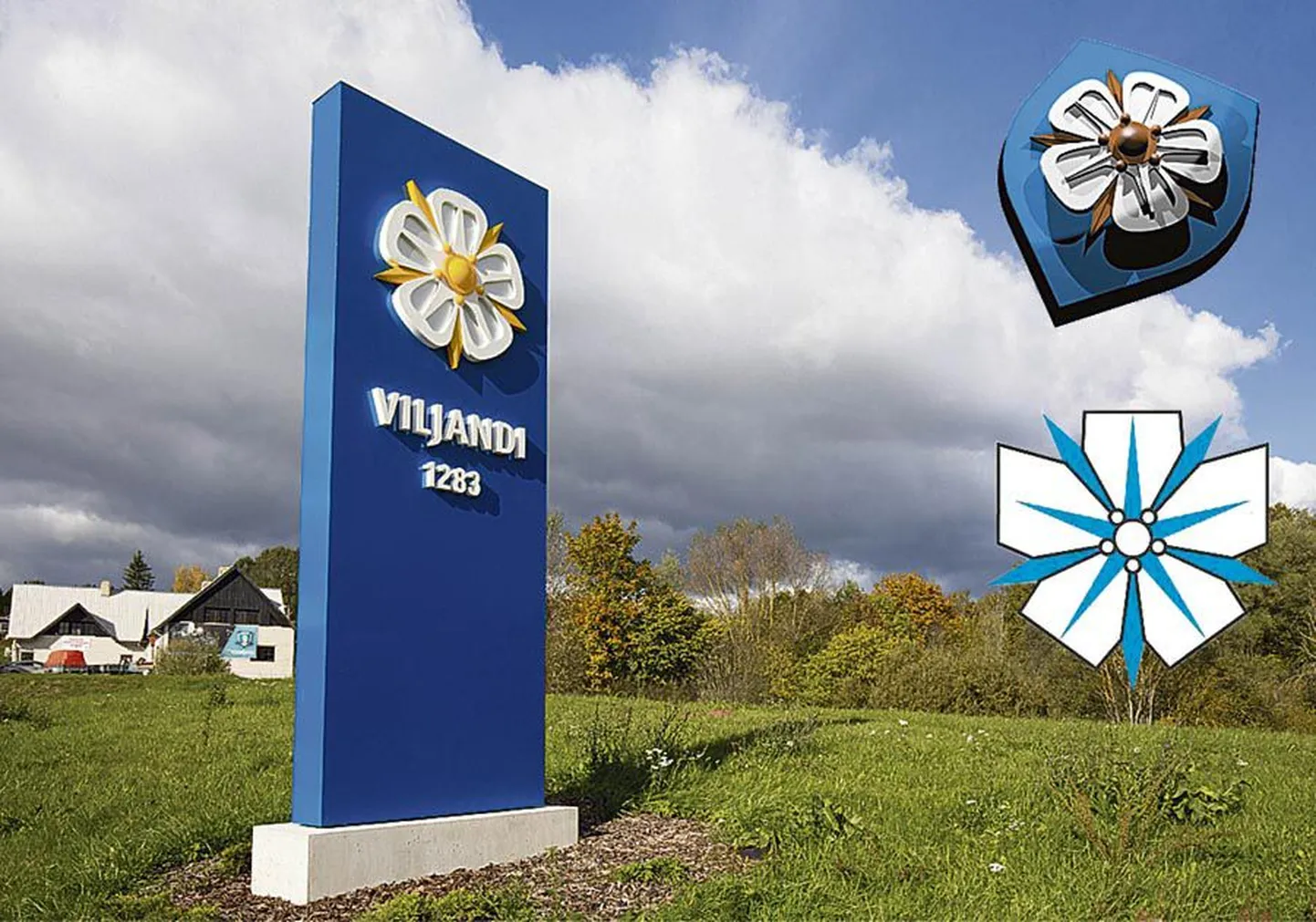 Praegu võib Viljandi teabekandjatel näha mitut valge roosi teemalist logo. Väljakuulutatud ideevõistlus peaks ajapikku viima selleni, et igal pool kasutatakse ühesugust märki.