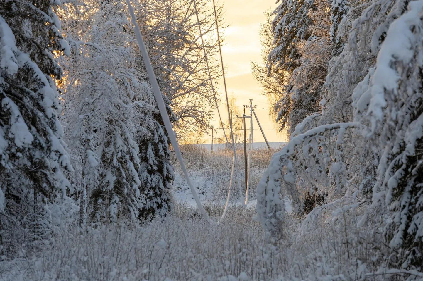 Lumi elektriliinil