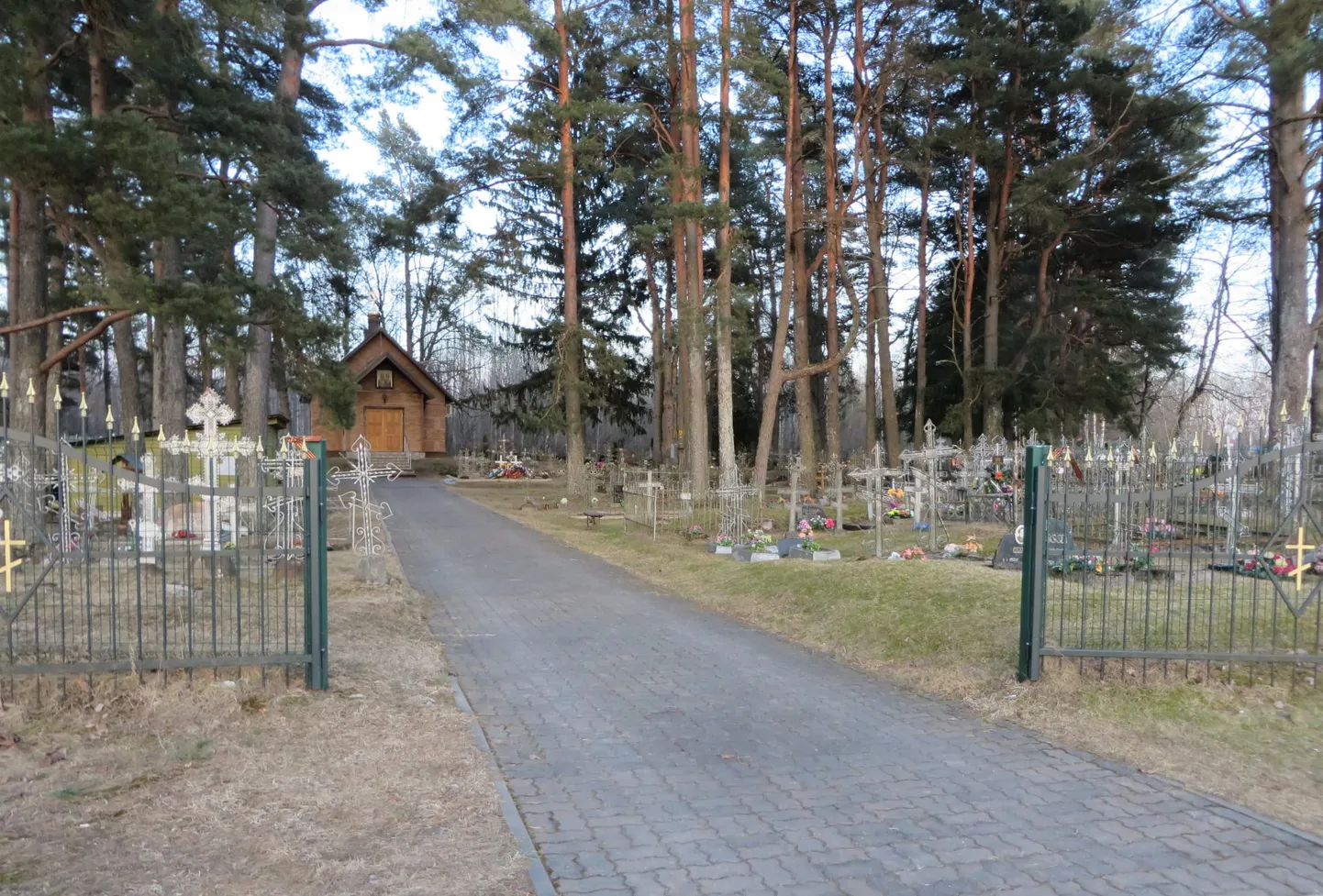 Фото статьи