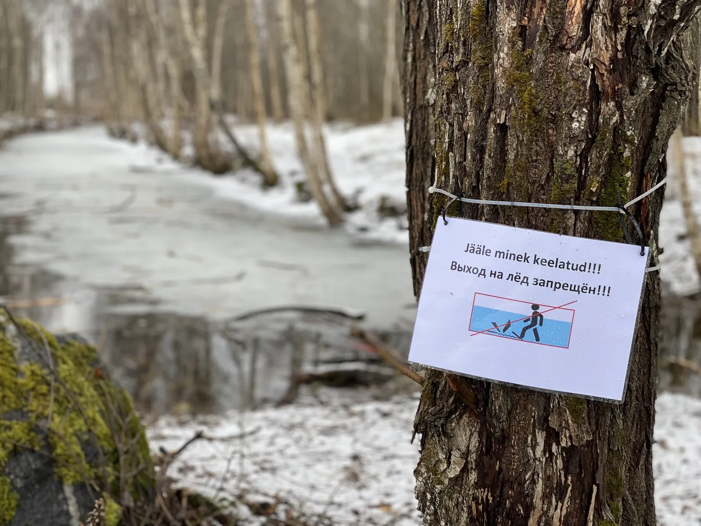 Jääle minekut keelav silt.