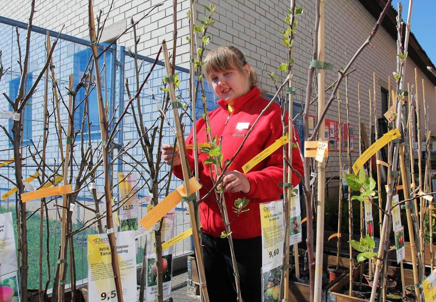 Räpina aianduskoolis õppiv Diana Hendrik saab äsja avatud taimehoovis oma teadmisi ära kasutada.