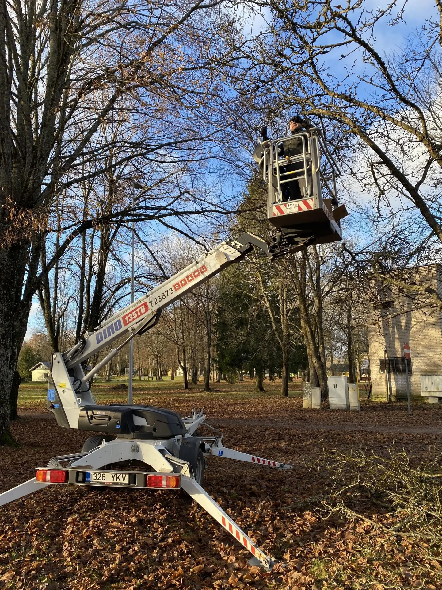 Puudu on vaid lumi. Esmaspäeval ehiti valguskettidega puid Paides Peetri pargis.