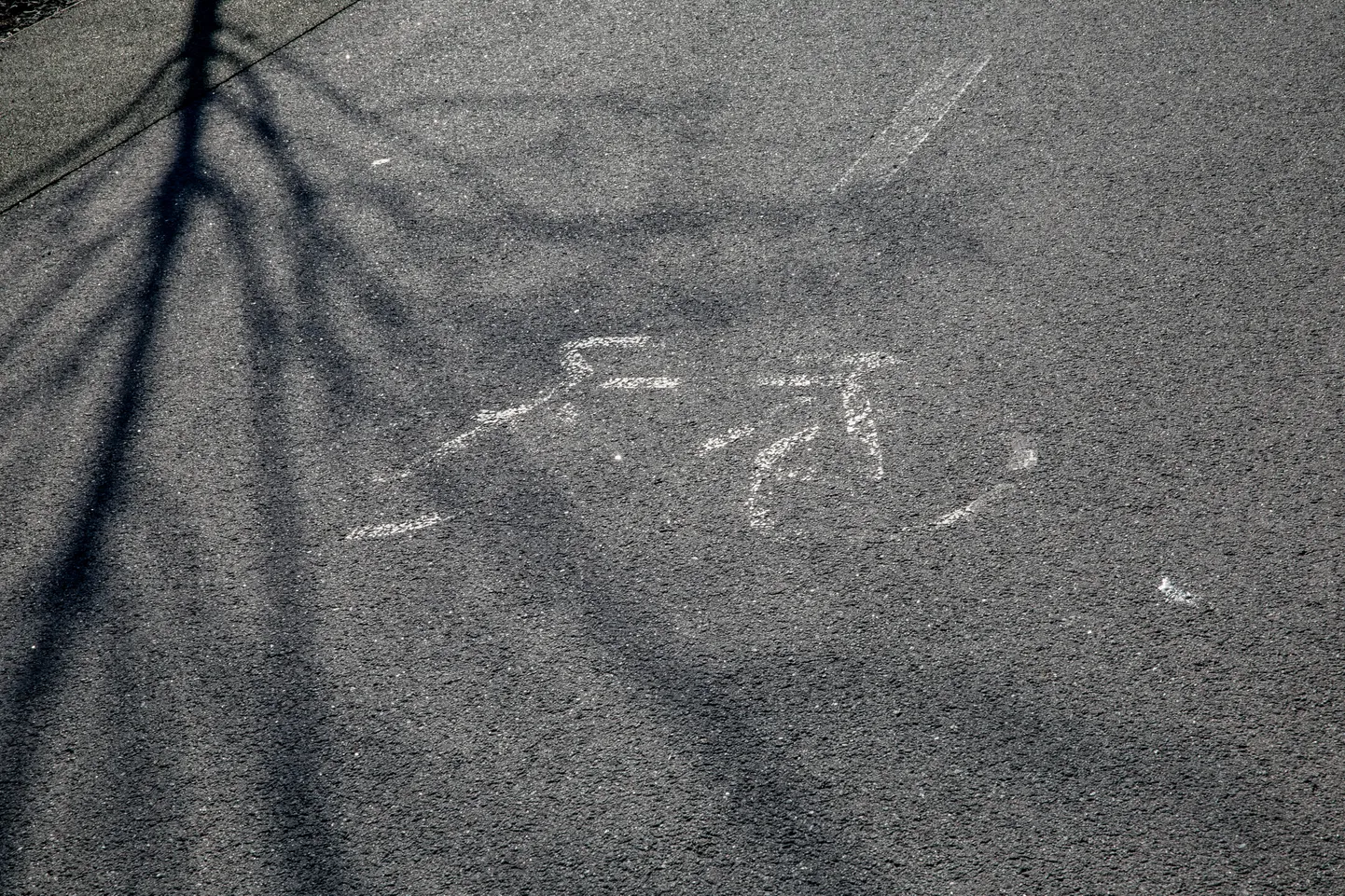 Rattaraja märgis Reidi tee jalgrattateel
