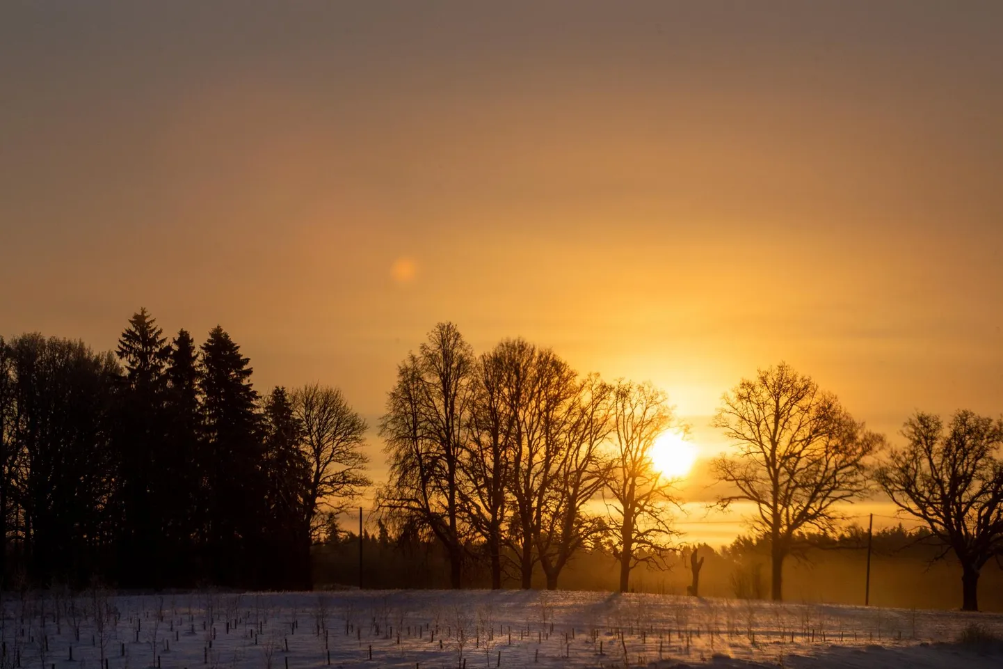 Nädala lõpus läheb soojemaks.