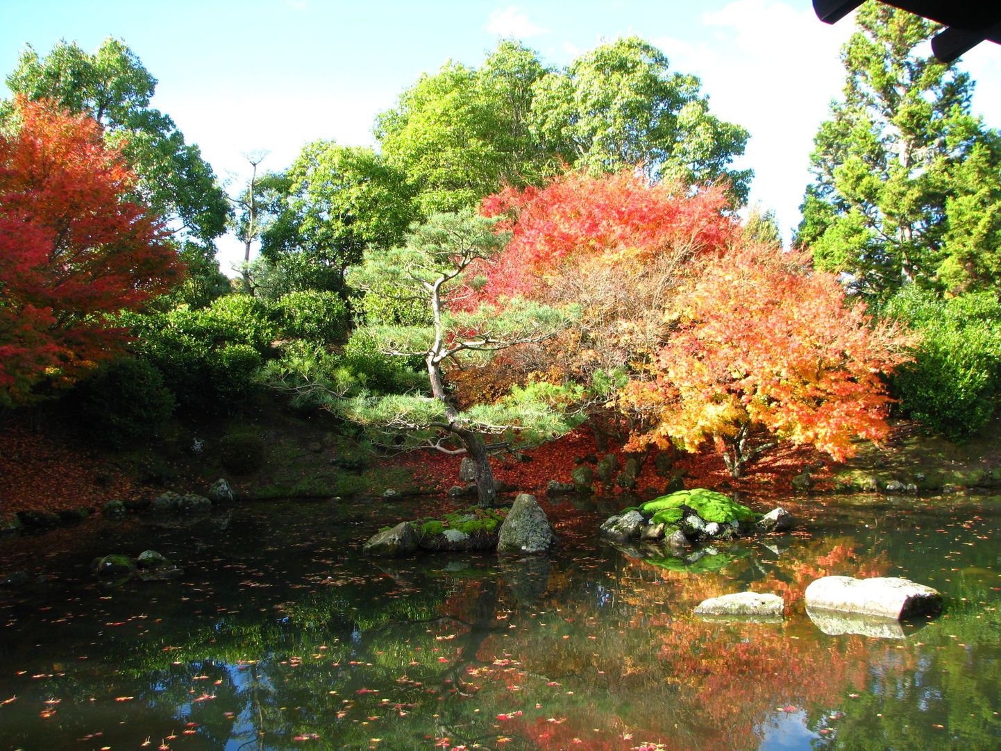Rahulik ja värviline Jaapani aed on üks mitmest Hamiltoni maailma aiast.