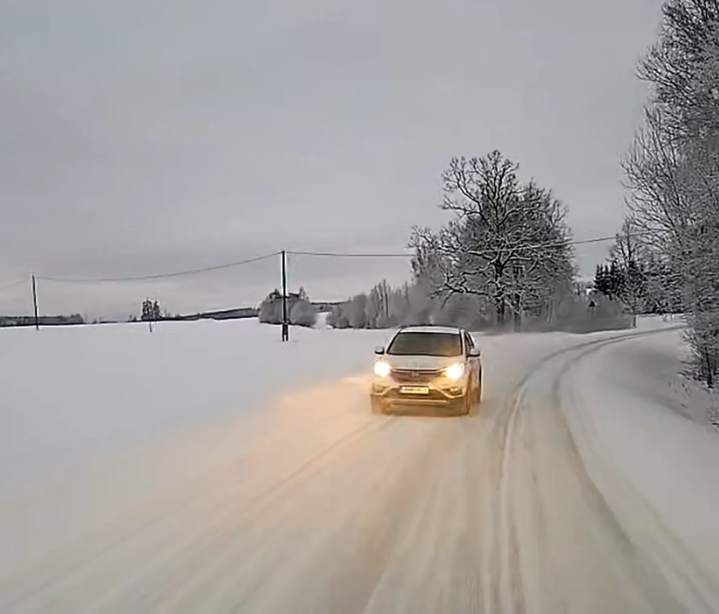 Palamuse poole sõitnud valget värvi Honda CRV juht lahkus peatumata sündmuskohalt.