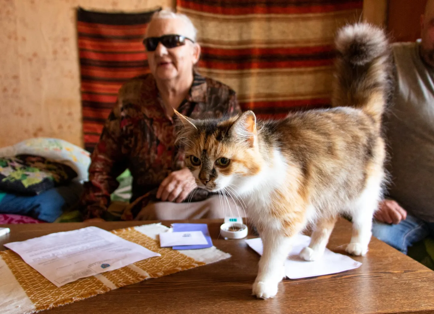 Vastemõisas elav 83-aastane Maimu Parm püsib rõõmsameelne hoolimata sellest, et tal on südamestimulaator, kehv silmanägemine ja pärast isikukoodi muutumist raskusi ravimite kättesaamise ja arsti juurde pääsemisega. Talle pakub seltsi uudishimulik kass Pipi.