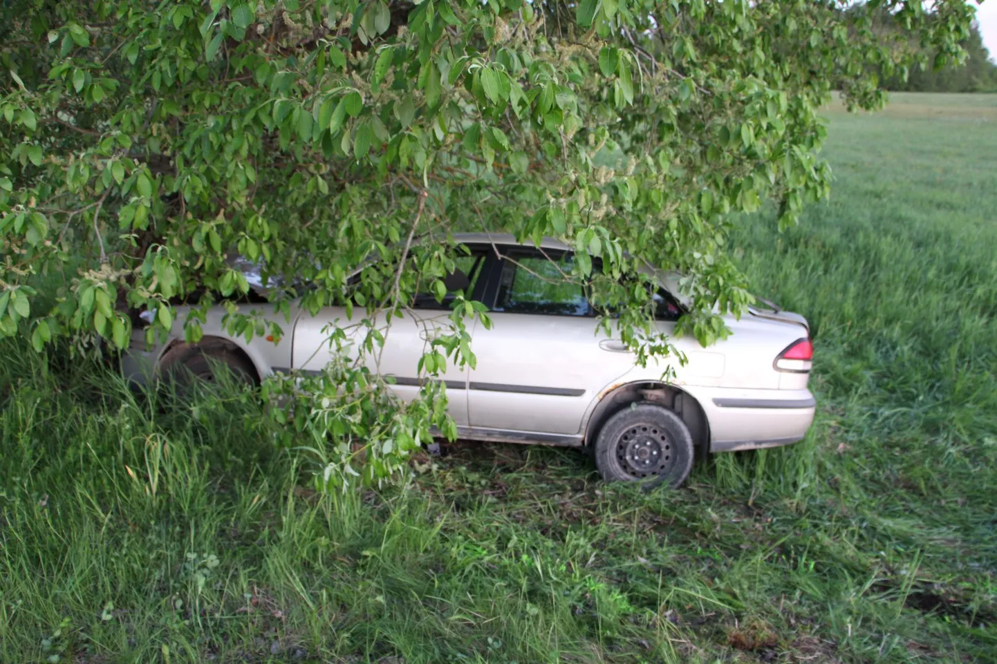 Фото с места ДТП.