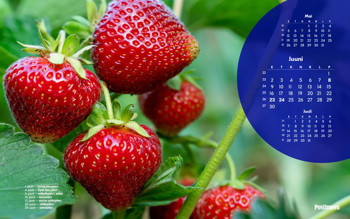Kalender 2025: juuni