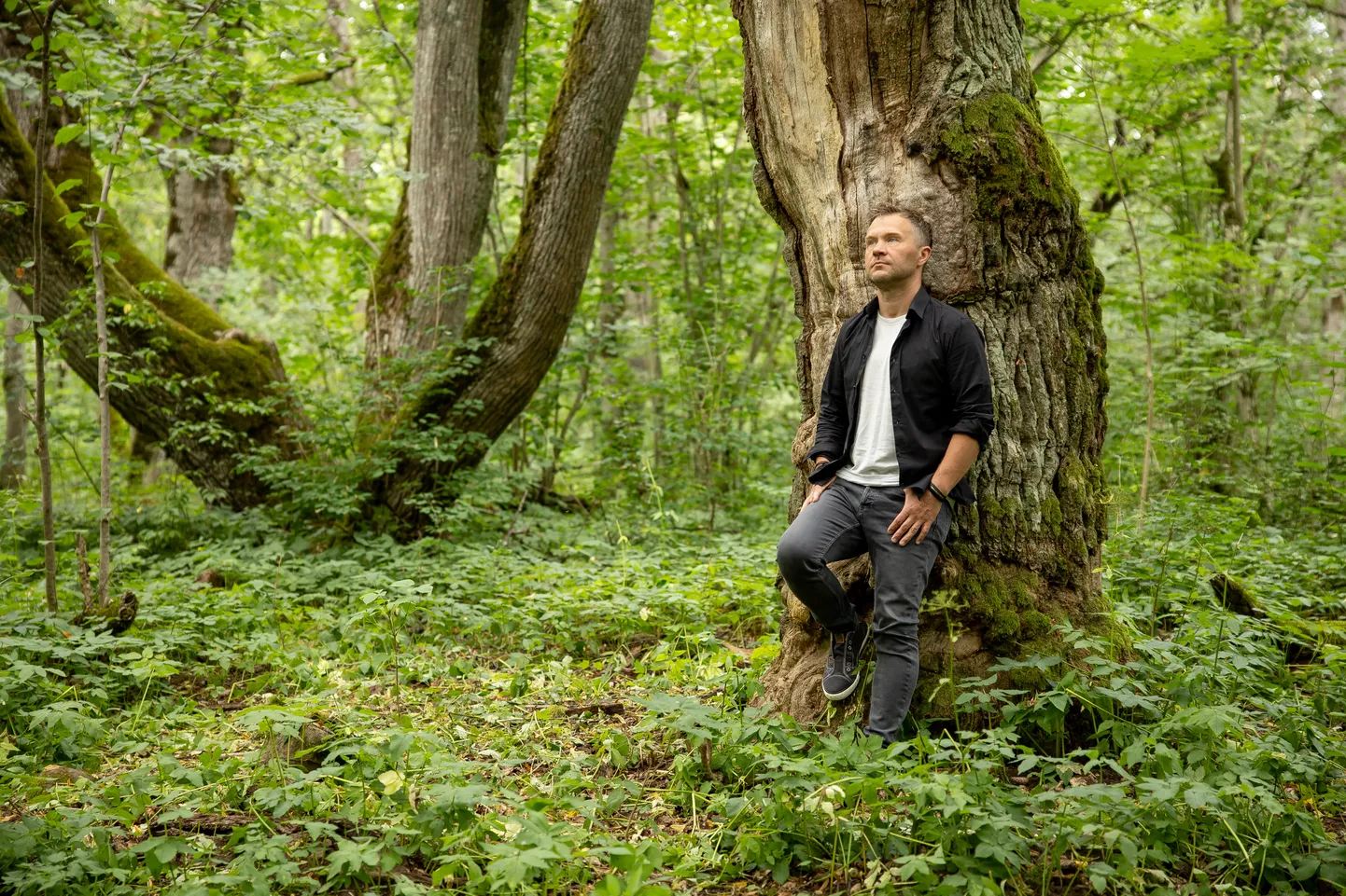 Lauri Räpp.