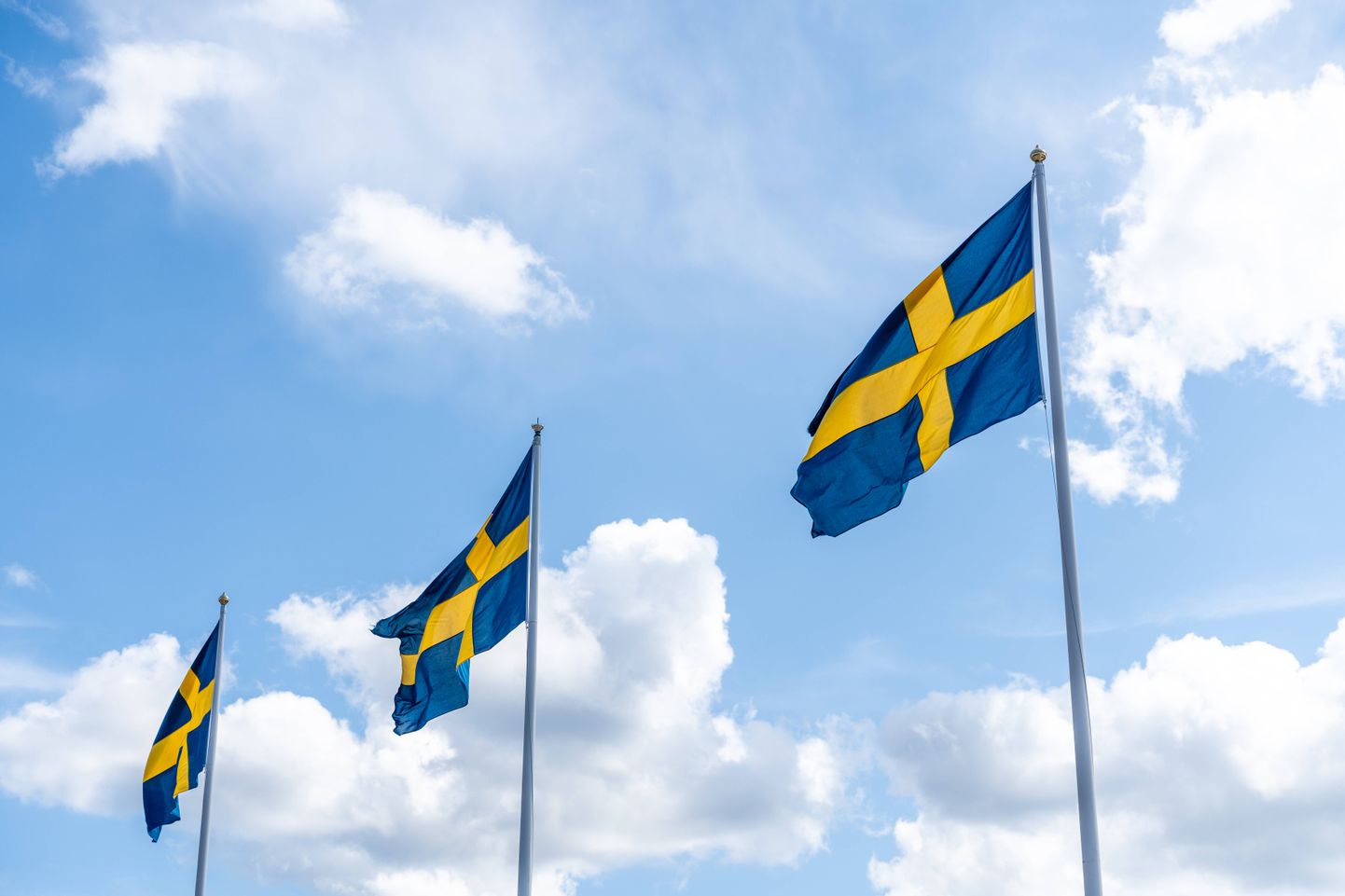 Rootsi lipud. Pilt on illustratiivne.
