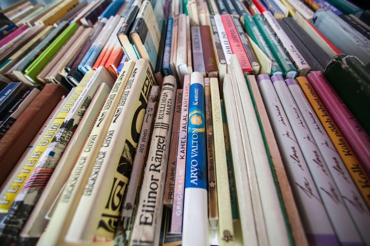Muu hulgas raamatute vargust uurib politsei ühes prokuratuuriga kriminaalmenetluses.