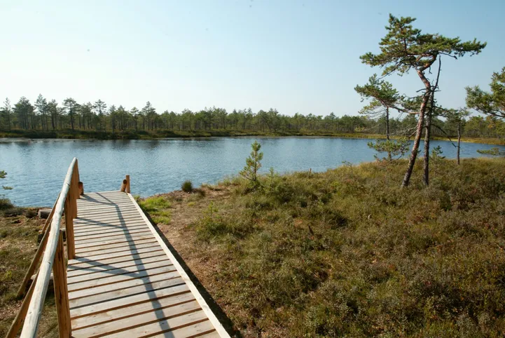 Eesti parimad tasuta telkimiskohad