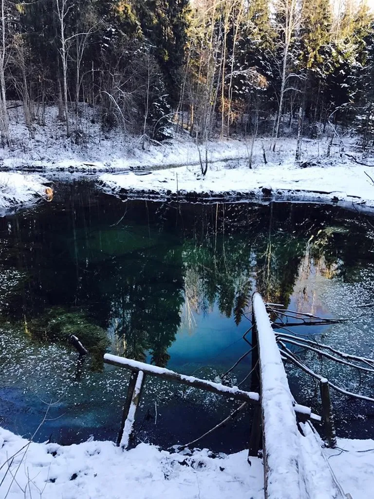 Фото статьи