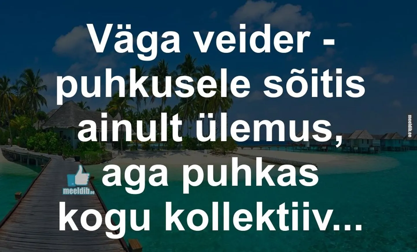 Artikli foto