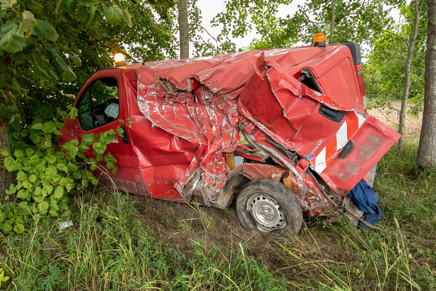 Reka lömastas trimmerdaja väikekaubiku vasaku külje.