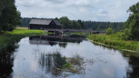 Oisus räägitakse veest