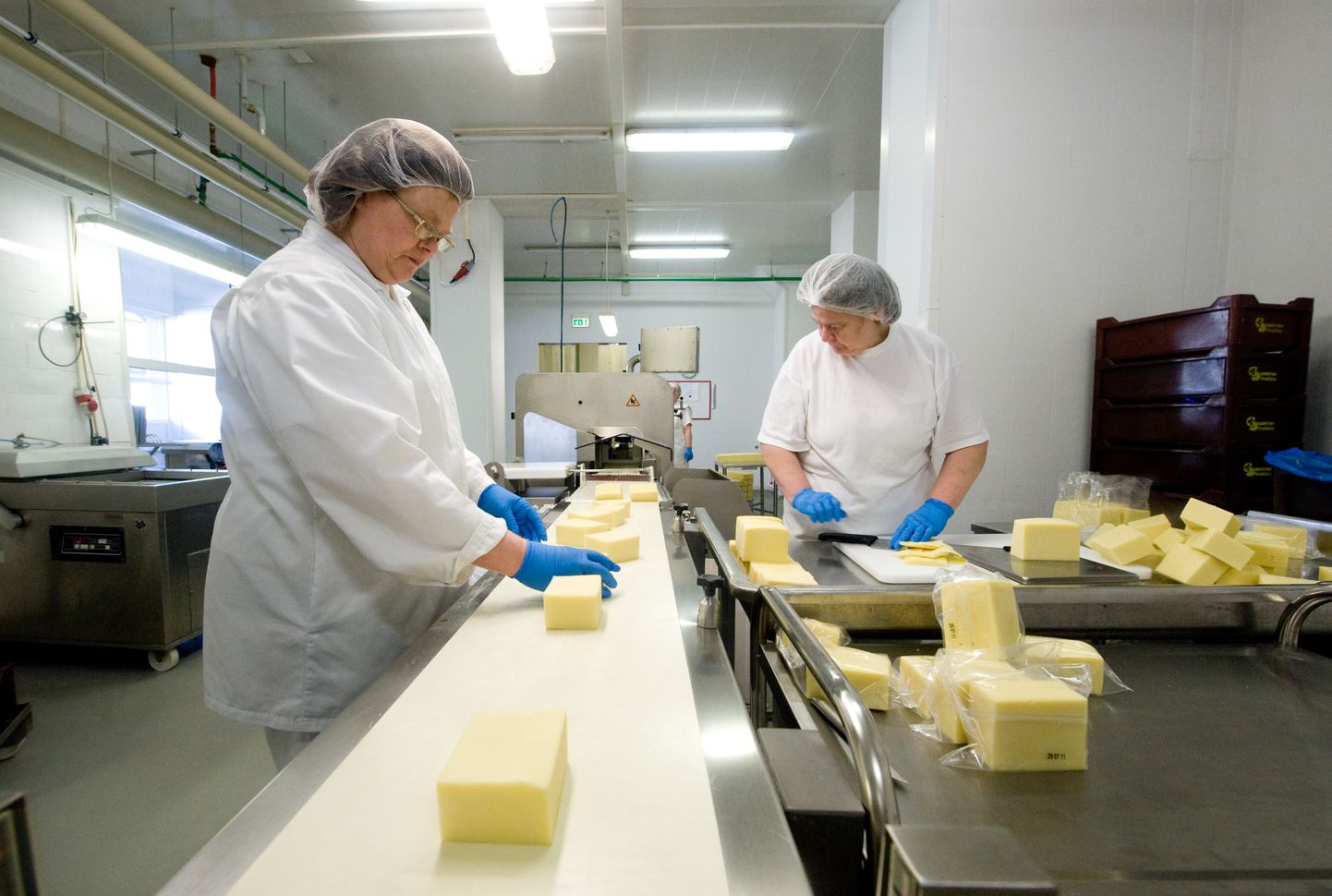 Saaremaa piimatööstuses oli elektrikatkestamise ajal tootmises juust.