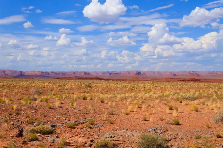 Arizona kõrb