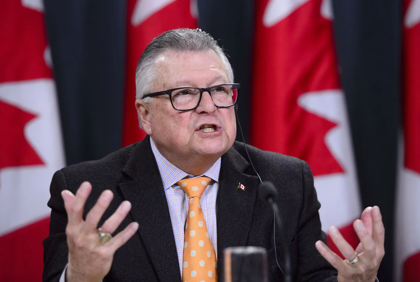 Kanada avaliku julgeoleku minister Ralph Goodale kolmapäeval Ottawas pressikonverentsil.