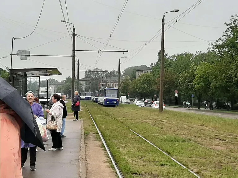 Фото статьи