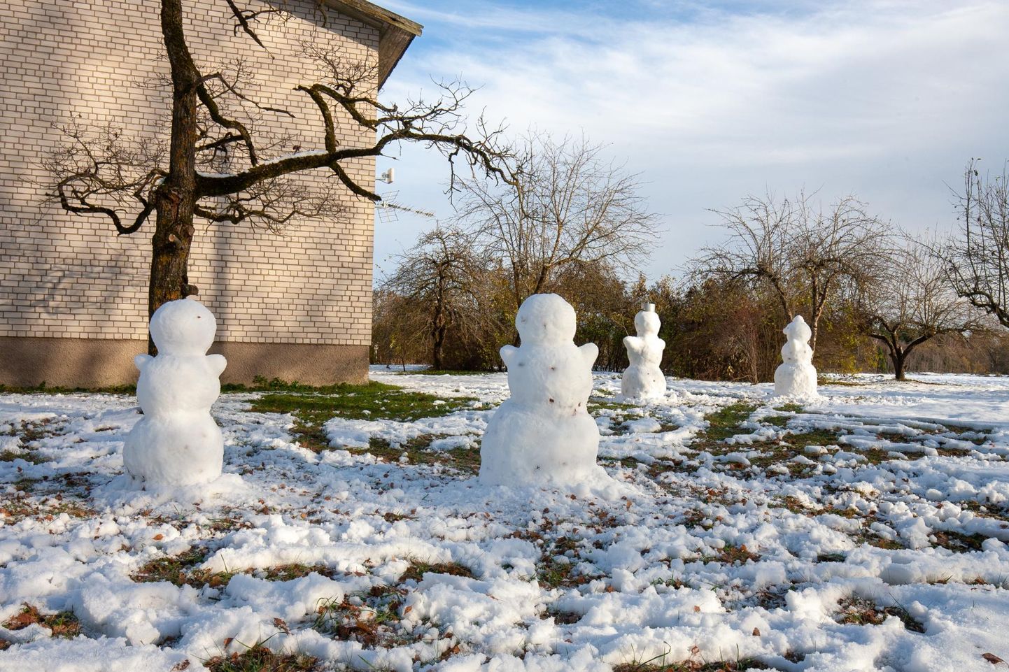 Ühe Oiu kortermaja juures on lumememmed end juba püsti ajanud.