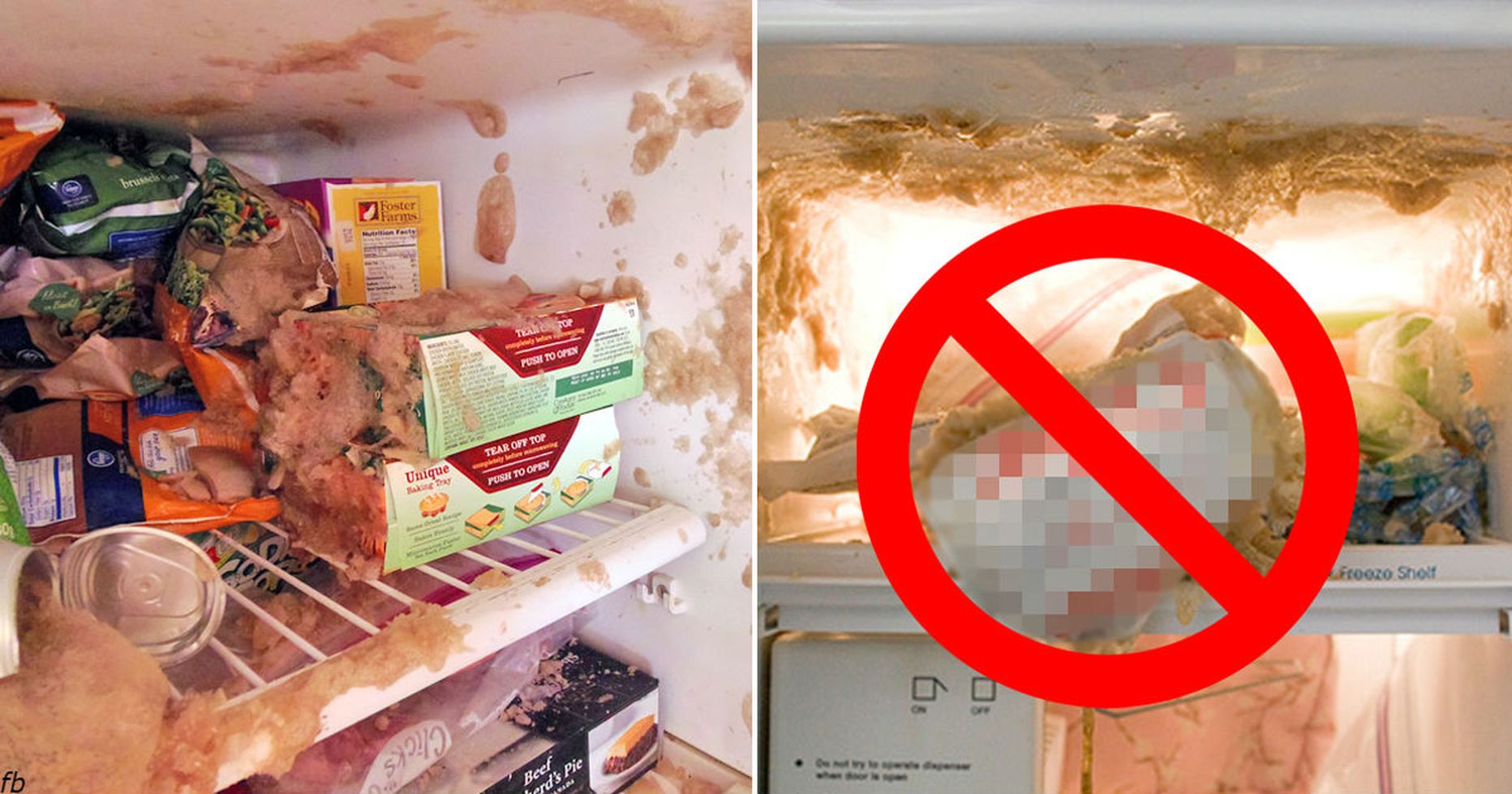 Почему в холодильнике сыро. Смерть в холодильнике детей. Тухлая еда в холодильника.