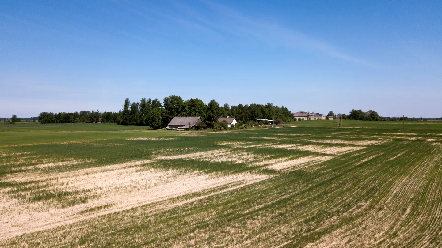 Raksta foto